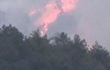 Kondisi Terkini Kebakaran Hutan Lereng Gunung Lawu, Terjadi Tiga Kali dalam Sebulan