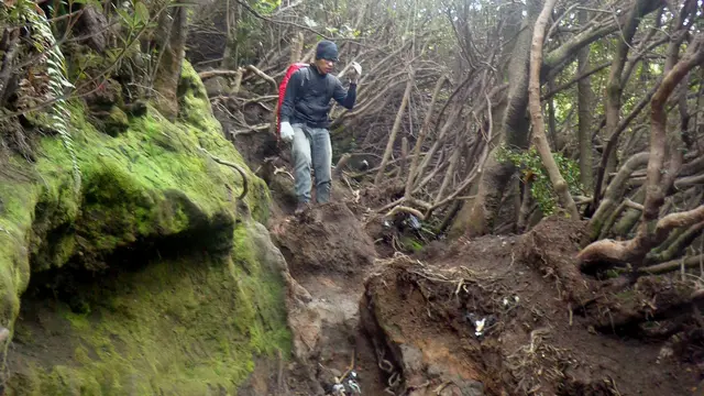 Aktivitas mendaki gunung harus diimbangi dengan kesiapan fisik dan mental. (Liputan6.com/ Novia Harlina)