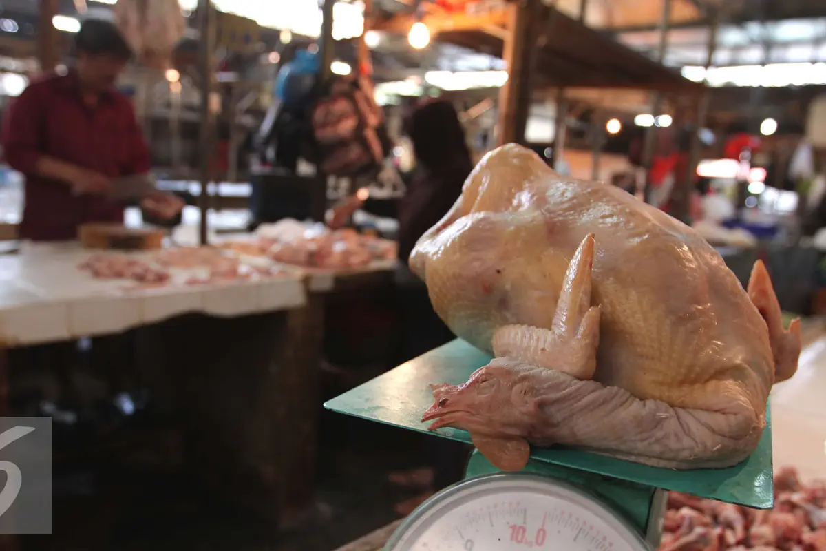 Ayam Potong