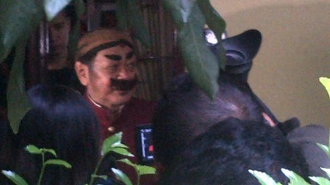 Pak Raden dimakamkan di TPU Jeruk Purut usai Salat Zuhur