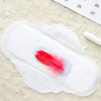 ilustrasi pembalut menstruasi/copyright By La corneja artesana (Shutterstock)
