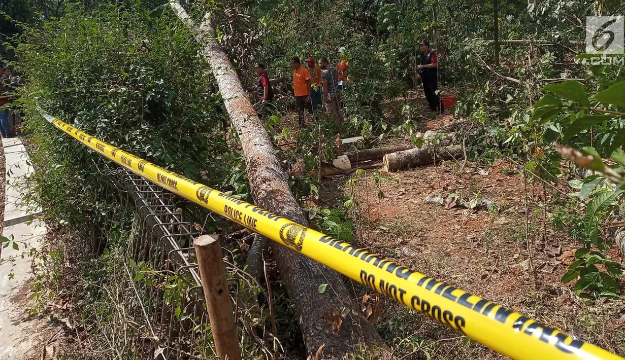 Garis polisi terpasang di lokasi tempat terjadinya ledakan oleh pohon sengon, di Desa Malon, Gunungpati, Semarang, Selasa (7/8/2019). Diduga inilah titik lokasi penyebab blackout atau mati listrik massal di wilayah Jakarta dan sekitarnya. (Liputan6.com/Gholib)