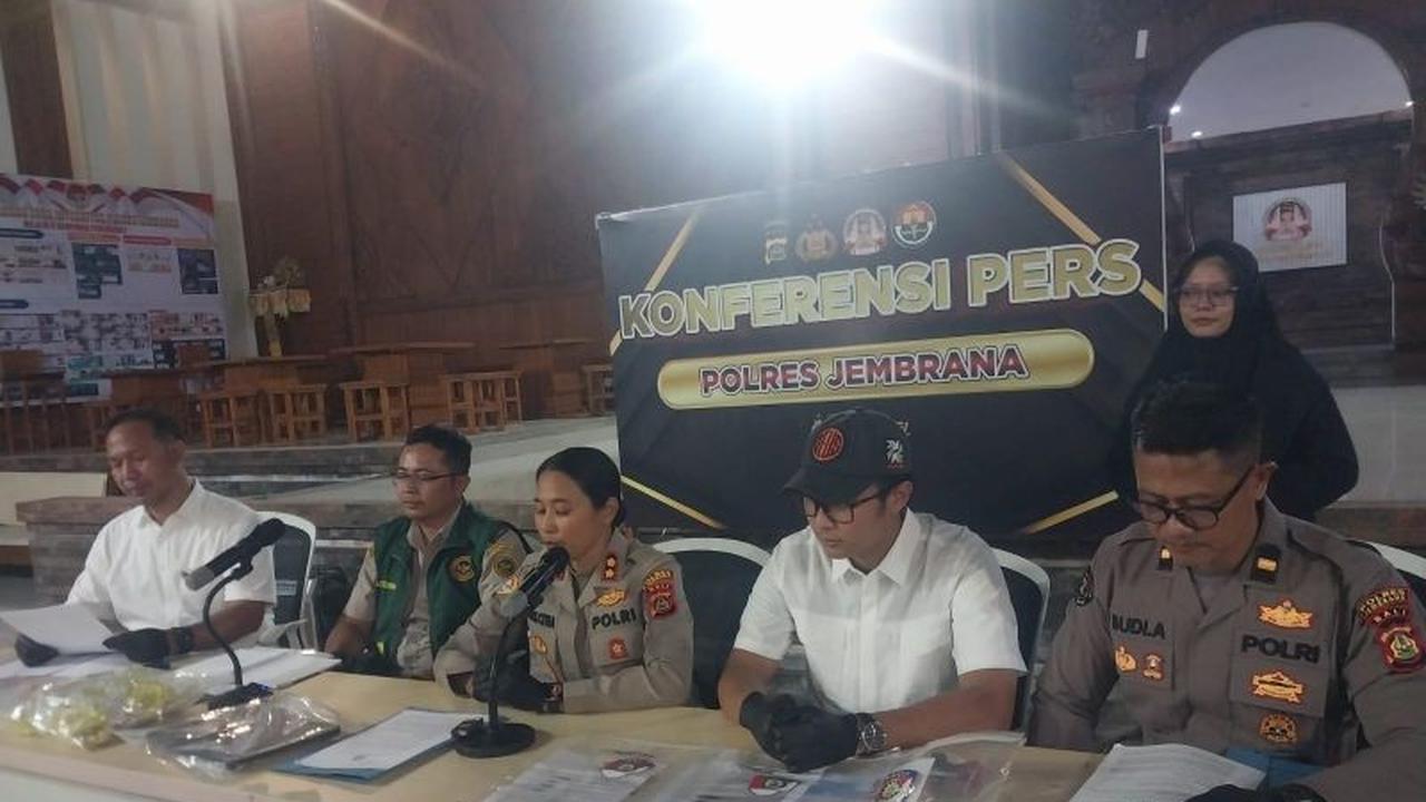 Polres Jembrana Bekuk Dua Pelaku Pemalsuan Dokumen Pengiriman Sapi, Terancam 6 Tahun Penjara
