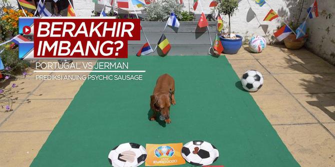 VIDEO: Prediksi Anjing Psychic Sausage untuk Laga Grup F Euro 2020, Timnas Portugal Vs Timnas Jerman