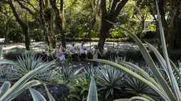 Pengunjung berjalan di taman selama tur ke situs Roberto Burle Marx, yang masuk kedalam daftar situs warisan dunia UNESCO, di Rio de Janeiro, Brasil, pada 27 Juli 2021. Situs tersebut diketahui memiliki sekitar 3.500 spesies tumbuhan, dengan mayoritas tanaman tropis asli Rio. (AP Photo/Mario Lobao)
