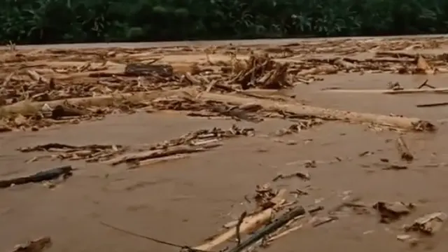 video viral kayu glondongan saat Banjir Bandang di Sungai Batang Toru