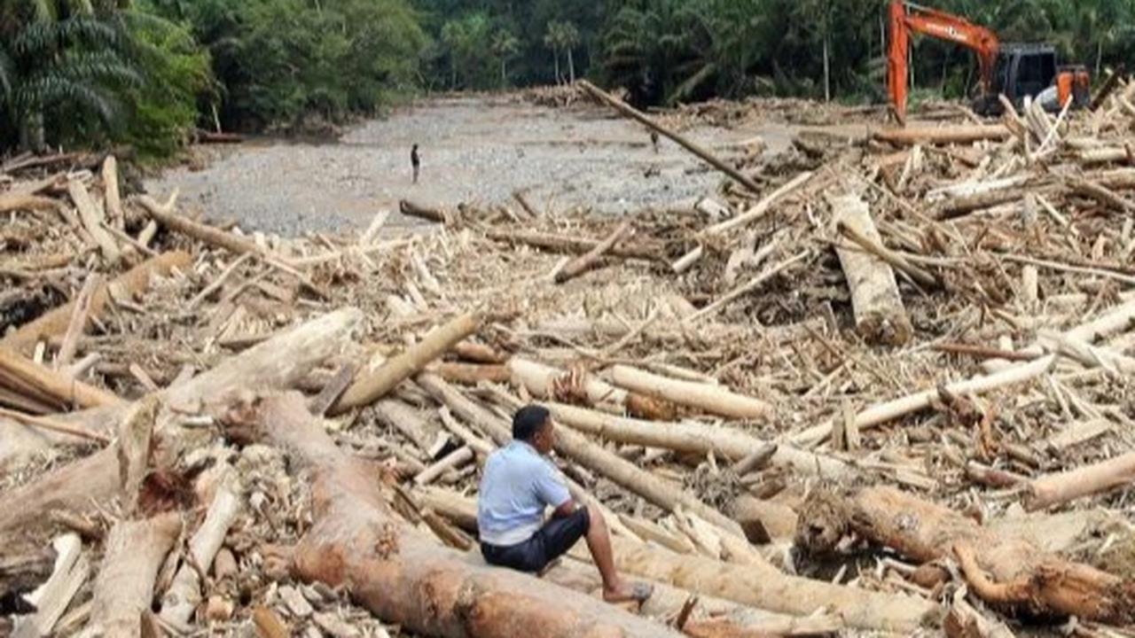 Kayu gelondongan besar terbawa arus banjir di Sumatera