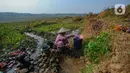Warga saat mengambil air pada sumber air tersisa pada tengah sawah di Kampung Rawa Bogo Kaler, Weninggalih, Bogor, Senin (21/08/2023). )(merdeka.com/Arie Basuki)