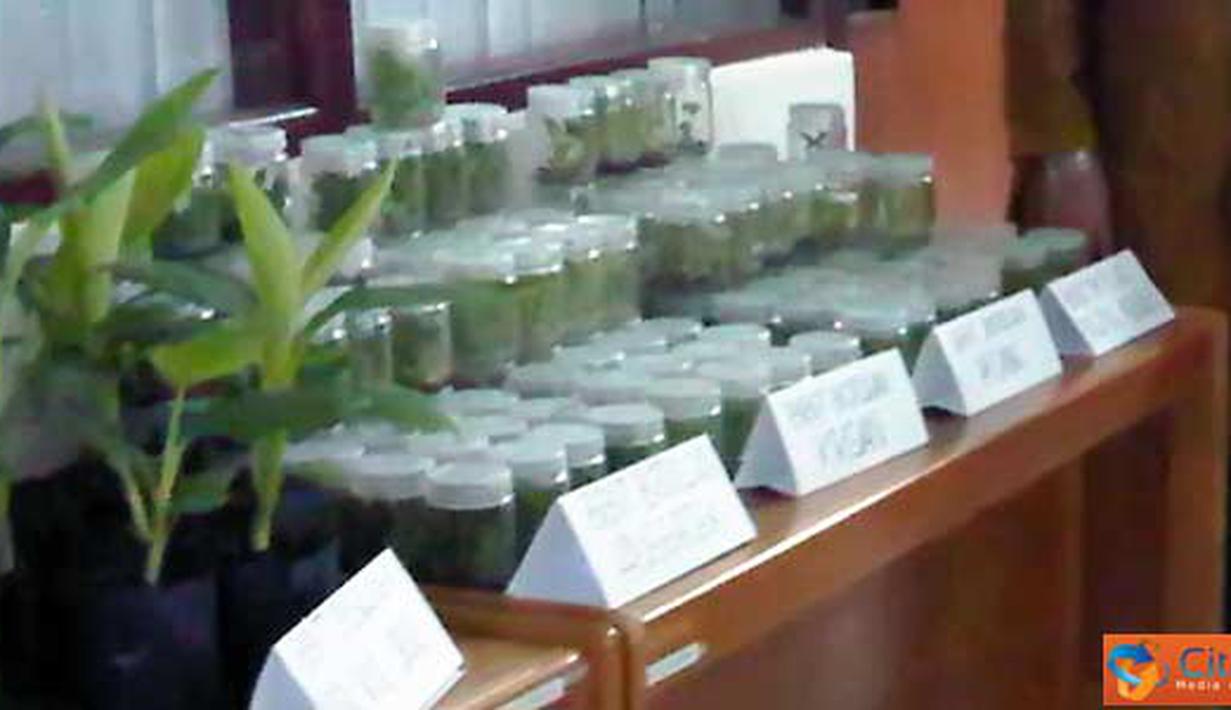 Citizen6, Bogor: Hasil karya unggulan alumni IPB yang diproduksi di Balai Benih Induk DKI. (Pengirim: Fahrizal Razak)