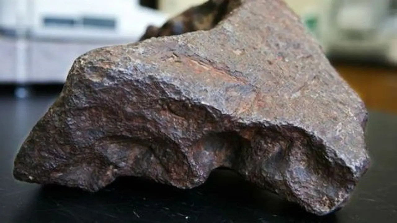 Disangka Sarang Telur, Batu ini Malah Bernilai Rp 1,5 Miliar