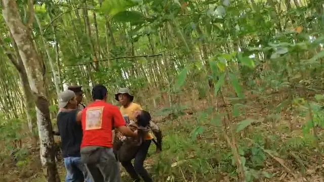 Kades di Lampung Timur Tewas Saat Halau Gajah Liar Masuk Permukiman Warga