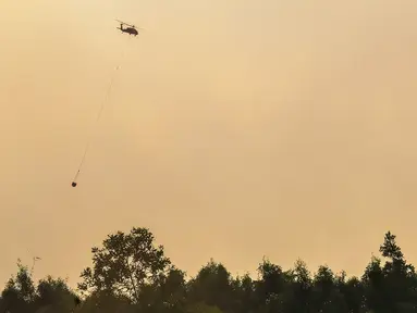 Petugas pemadam kebakaran menggunakan helikopter memadamkan kebakaran hutan pada lahan gambut seluas lebih dari 100 hektar) di Pulang Pisau, Provinsi Kalimantan Tengah, Indonesia, Jumat, 31 Juli 2026.  (AFP/ Reina)