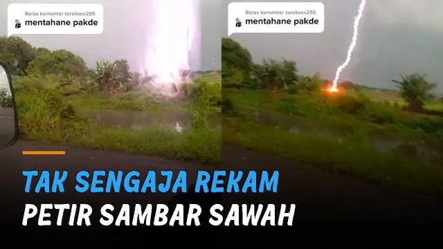 VIDEO: Berhenti di Pinggir Jalan, Lelaki Tak Sengaja Rekam Petir Sambar Sawah