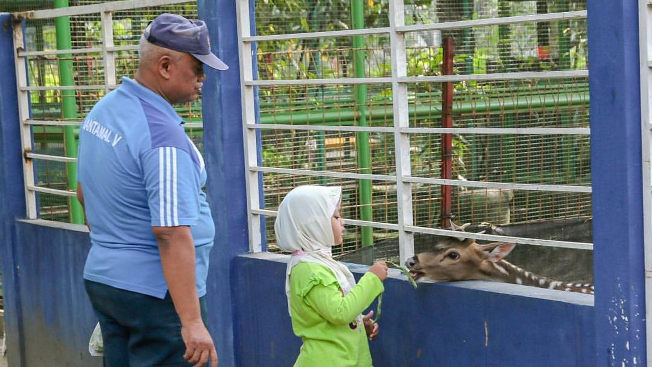 Bermain Ayunan sampai Perosotan Bersama Anak