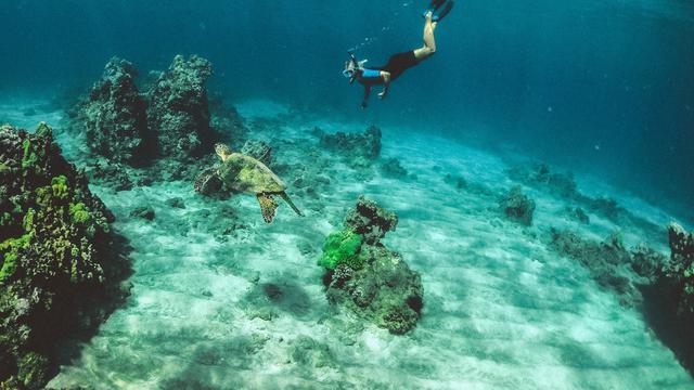 Ilustrasi scuba diving. Photo by Subtle Cinematics on Unsplash