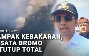 Kebakaran Meluas ke Empat Kabupaten, Wisata Bromo Ditutup Total