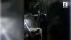 Aksi para biduan bergoyang di atas pohon dan salto di pelaminan bikin geleng-geleng kepala.