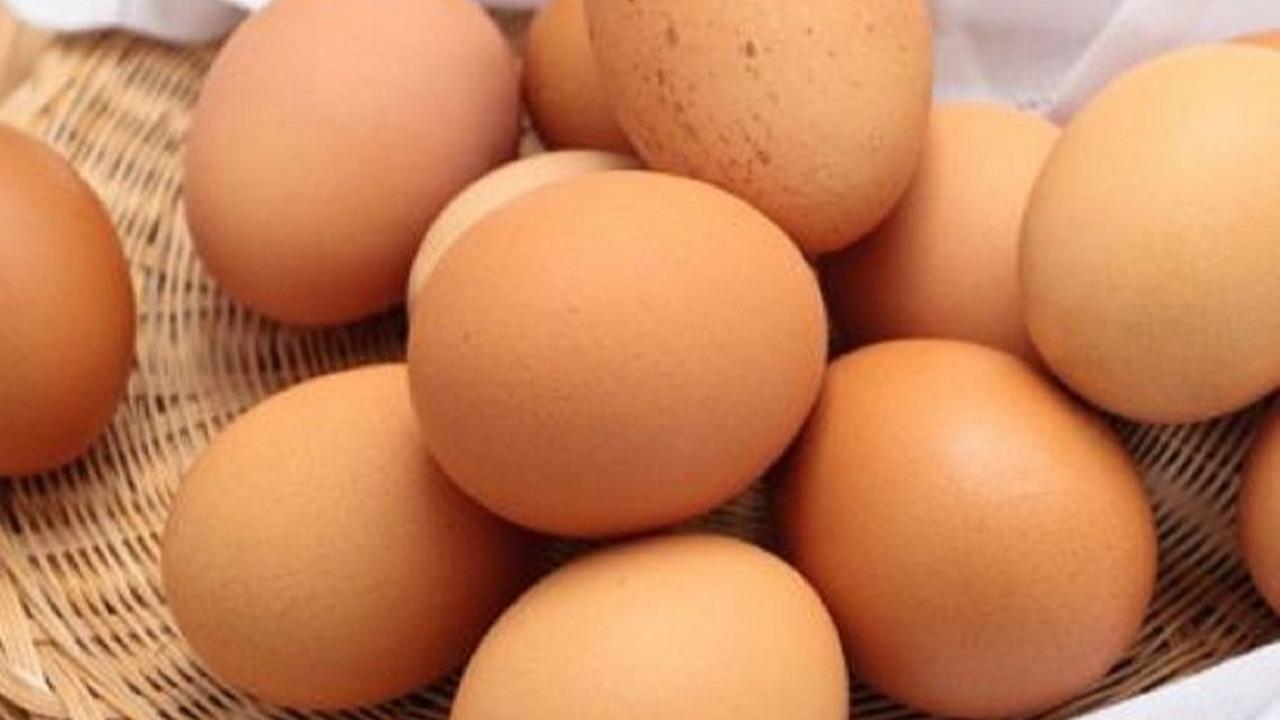 Tips Memberikan Kuning Telur
