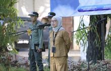 Dishut Kalsel Kaji Kedondong Hutan untuk Rehabilitasi Lahan Kritis, Adaptasi Sukses dari NTT