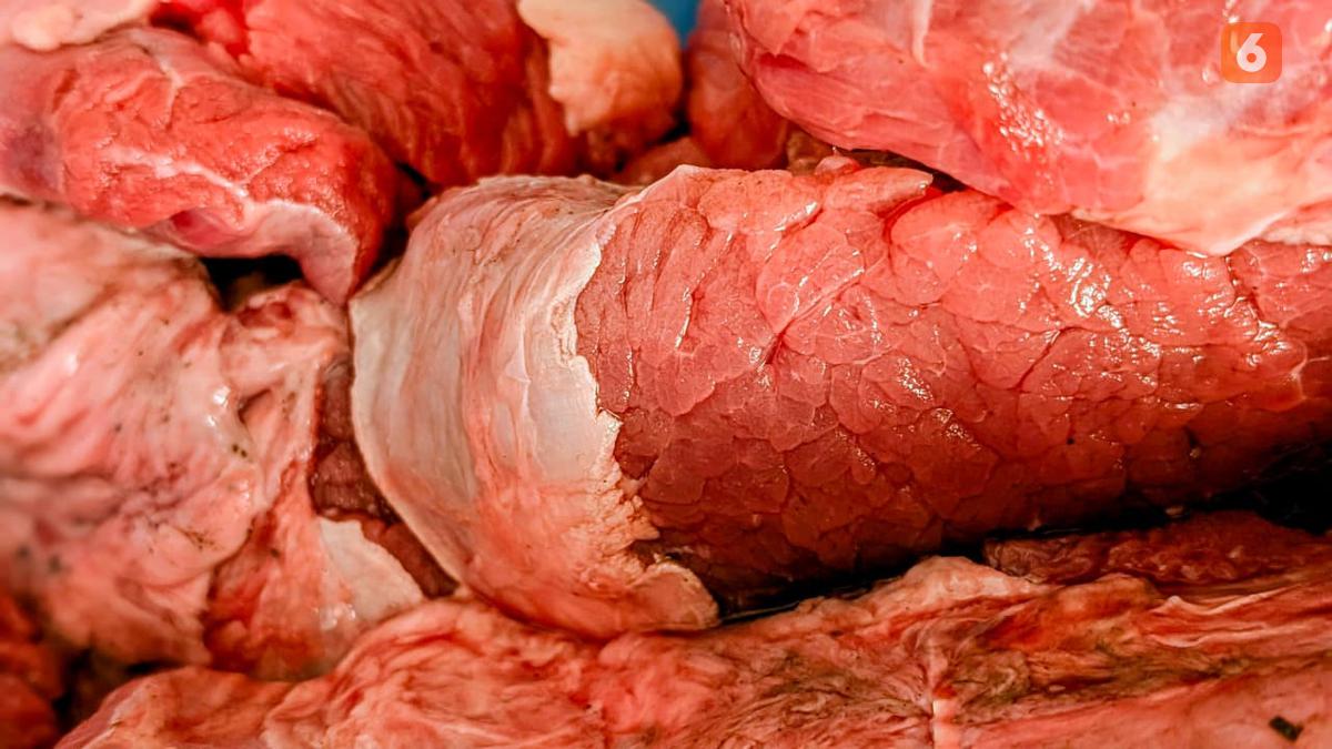 7 Cara Menyimpan Daging Kurban agar Tidak Cepat Beku Keras, Anti Bau saat Diolah