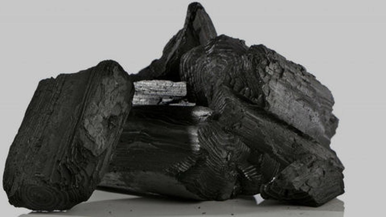 Activated charcoal, rahasia kulit jernih dari si hitam arang