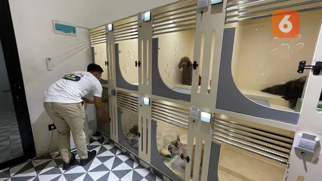 Metropawllys di Medan