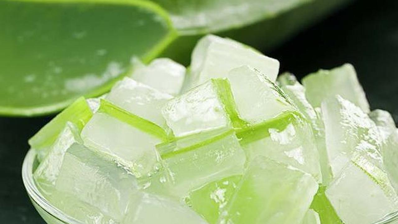 Aloe Vera yang Kaya Manfaat Sebagai Bahan Tambahan