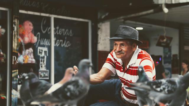 7 Arti Mimpi Burung Merpati, Jadi Pertanda Bertemu Jodoh?