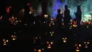 Pengunjung melewati labu yang disinari cahaya pada pameran Great Jack O'Lantern Blaze di Van Cortlandt Manor, New York, Sabtu (14/10). Lebih dari 7.000 lentera labu yang diukir tangan ditampilkan di pameran Halloween tahunan ini. (TIMOTHY A. CLARY/AFP)