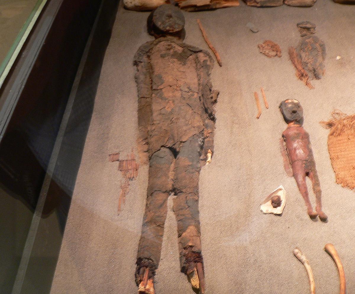 mumi tertua di dunia