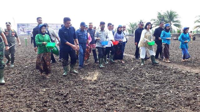 Menteri Pertanian Canangkan Sumsel Sebagai Gerbang Ekspor Beras