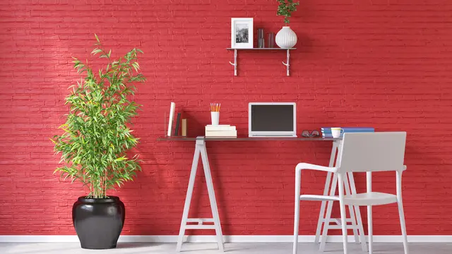 Pengaruh Psikologi Warna dalam Memengaruhi Mood Bekerja