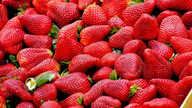 Ilustrasi strawberry | Pixabay