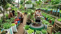 11 Ide Kebun Sayur untuk Ibu-ibu Koperasi Wanita, Mudah Diterapkan dan Sukses