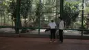 Pengunjung melihat bangau tongtong di Taman Marga Satwa Ragunan, Jakarta  Sabtu (13//3/2021). Pembukaan Taman Marga Satwa Ragunan dilakukan sesuai Keputusan Gubernur Nomor 213 Tahun 2021 tentang Perpanjangan PPKM. (merdeka.com/Imam Buhori)