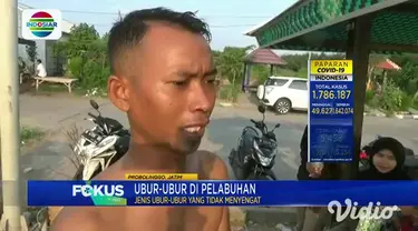 Ribuan ubur-ubur terlihat mengambang di permukaan air di sekitar Pelabuhan Tanjung Tembaga, dan Pelabuhan Perikanan Mayangan, Probolinggo, Jawa Timur. Ubur-ubur ini diperkirakan berjenis Acromitus Flagellatus atau ubur-ubur mangrove sungai yang tidak...