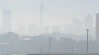 Kabut asap menutupi Sydney saat kebakaran hutan dan lahan terjadi kota, Selasa (19/11/2019). Sydney diselimuti kabut asap saat kebakaran hutan di timur Australia menyebabkan tingkat polusi di kota terbesar Australia itu naik tajam. (AP Photo/Rick Rycroft)