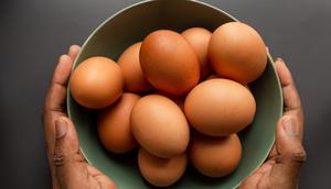 Ilustrasi telur ayam. (Photo by Louis Hansel on Unsplash)