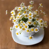 ilustrasi bunga/Photo by Carolyn V on Unsplash