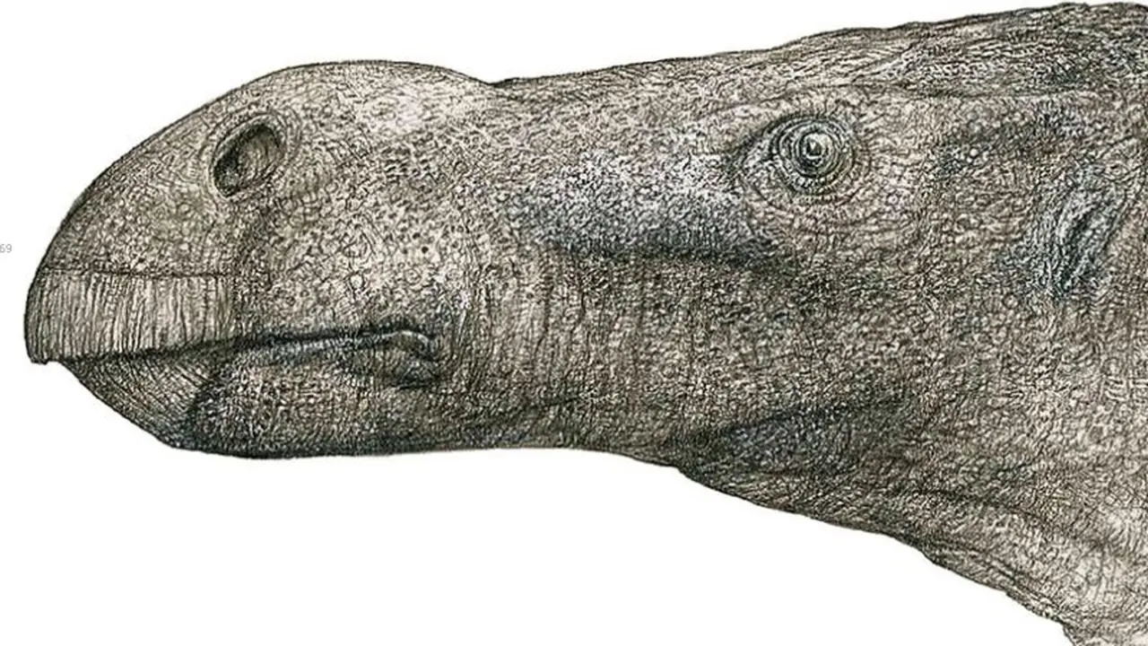 Dinosaurus baru