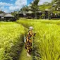 Gaya anggun Syahrini saat berada di pematang sawah  (Sumber: Instagram/princessyahrini)