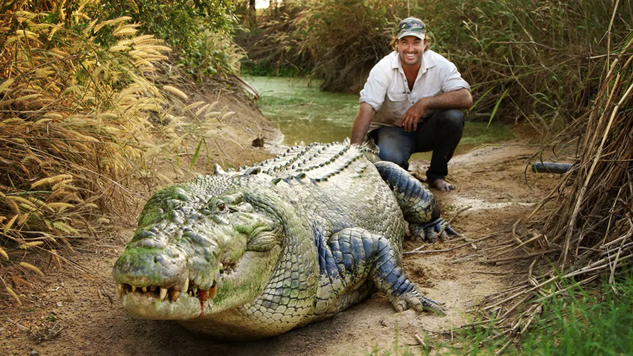 Ikut Selamatkan Buaya Berkalung Ban, Ini 4 Fakta Sosok Presenter National Geographic