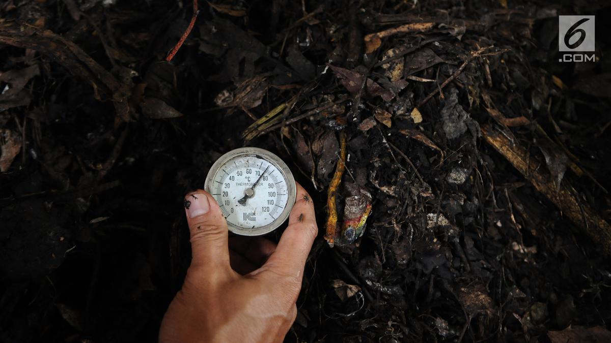 Cara Membuat Kompos Sendiri untuk Kebun Subur dan Ramah Lingkungan