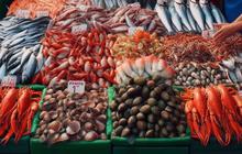 Tak Boleh Makan Sembarangan, Ini Jenis Seafood Paling Tepat untuk Penderita Diabetes
