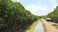 Kemenko Marves Kawal Infrastruktur Pengamanan Pantai Brebes