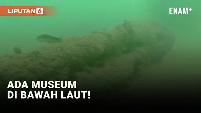 Senegal membuka museum seni bawah laut di lepas pantai Dakar. Museum ini bertujuan meningkatkan kesadaran akan masalah lingkungan di teluk yang dipenuhi polusi botol plastik dan jaring ikan yang membahayakan kehidupan satwa laut. Berikut laporan tim ...