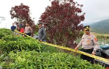 Hektaran Kebun Teh Pangalengan Rusak Diduga Sengaja, Pegawai Resah