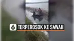 BUKANNYA DITOLONG, PEMOTOR YANG TERPEROSOK KE SAWAH MALAH JADI TONTONAN