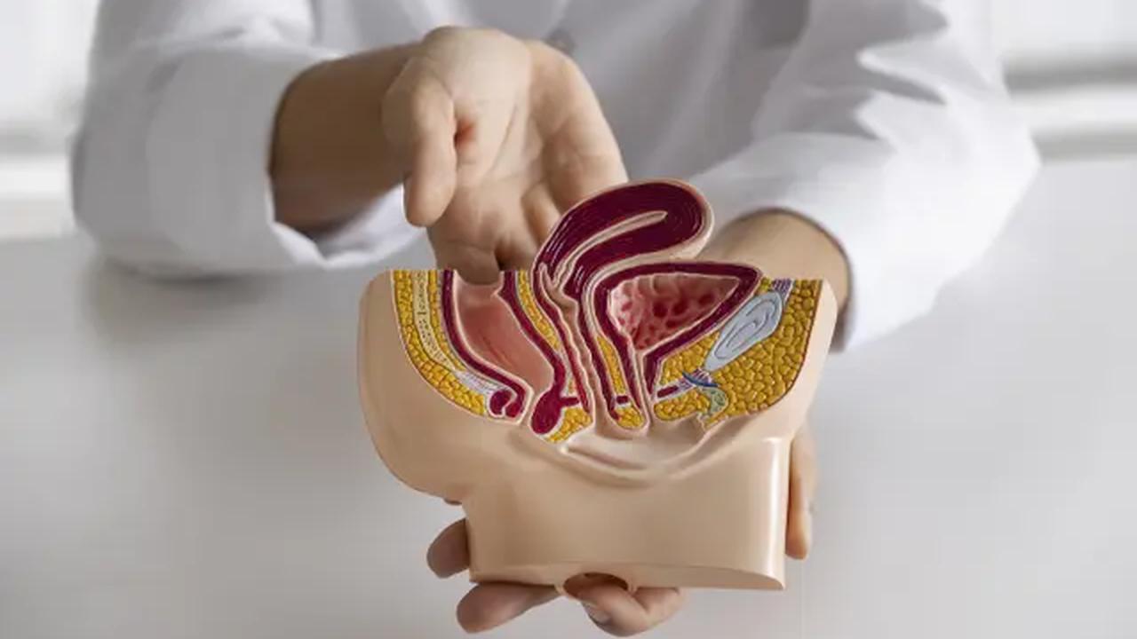 Ternyata duduk terlalu lama di toilet dapat memberikan tekanan berlebih pada area anus dan memicu ambeien. [Dok/freepik.com]