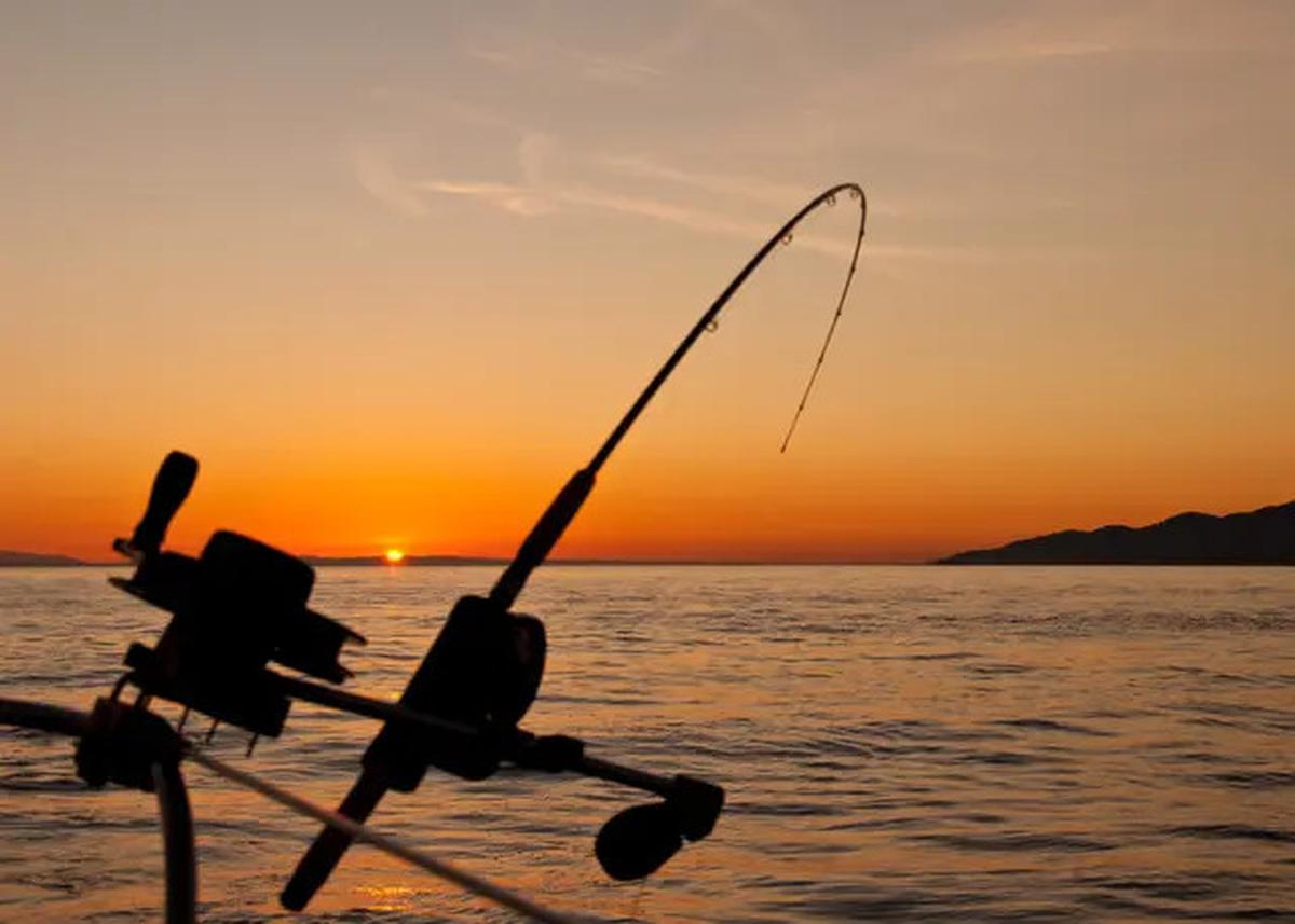 Jangan Asal Lempar, Ini Trik Spoting Mancing di Danau atau Waduk yang Bikin Strike Lebih Gampang